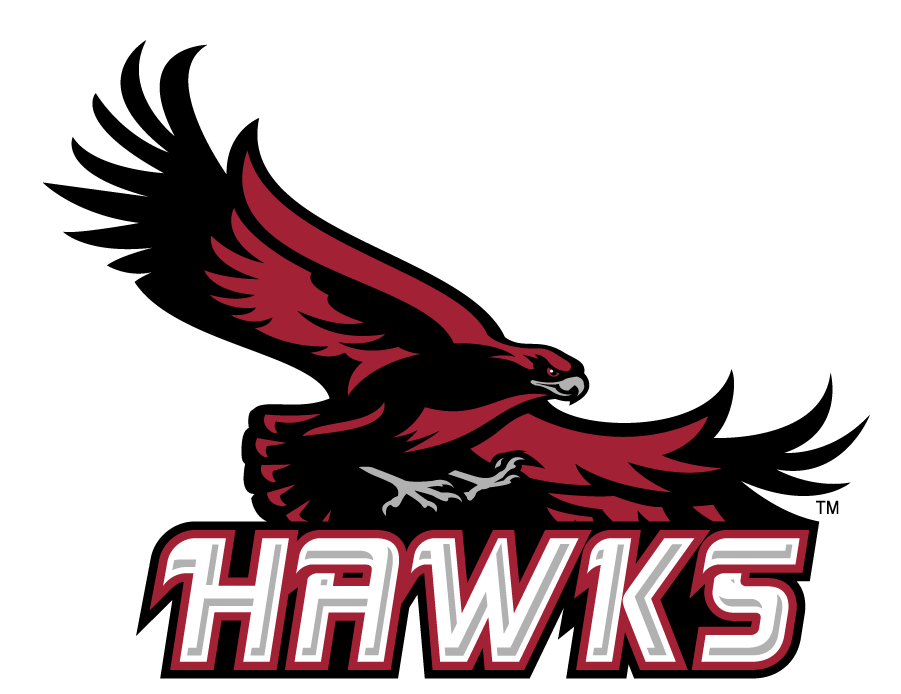 St. Joseph's Hawks 2002-2007 Secondary Logo v2 diy DTF decal sticker